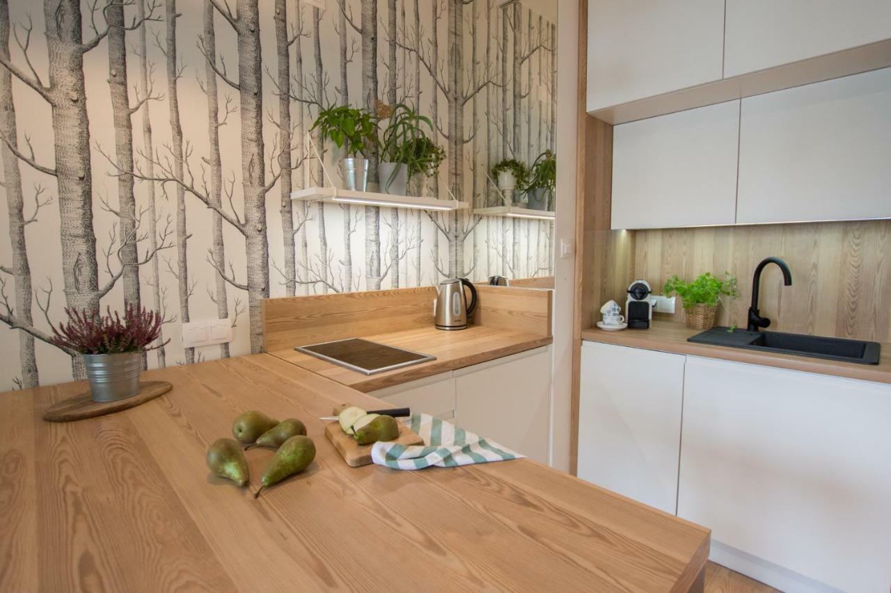 Rakowicka Apartment كراكوفيا المظهر الخارجي الصورة